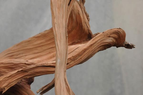 Detail of shimpaku deadwood after initial carving and sandblasting