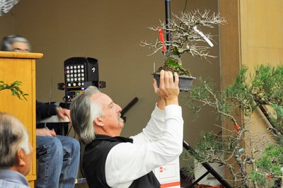 Holding an auction tree up for all to see