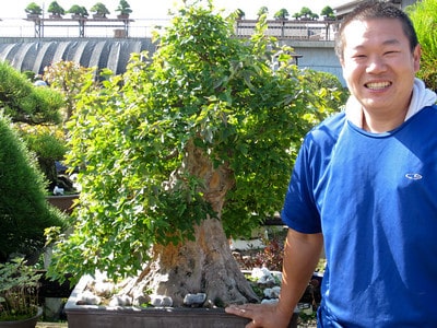 Peter and a large trident maple