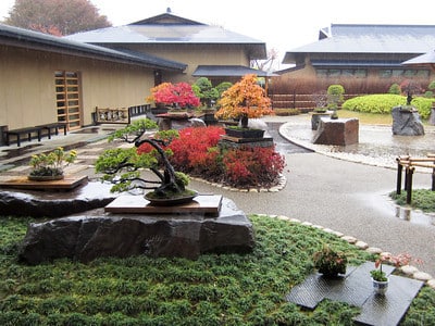 Omiya Bonsai Art Museum garden