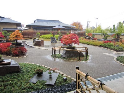 Omiya Bonsai Art Museum garden