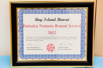 Daisaku Nomoto Bonsai Award