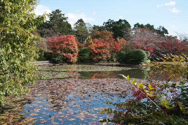 Kyoyochi Pond - dates from 12th century