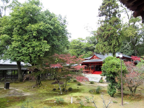 Daikaku-ji Temple gardens