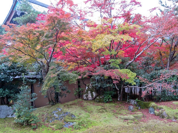 Seiryo-ji Temple gardens