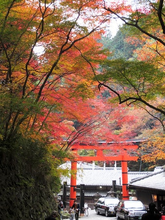 Road to Adashino Nenbutsu-ji Temple