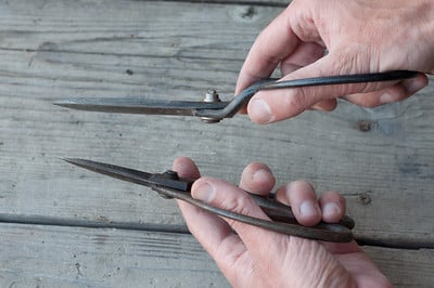 Off-set and regular root scissors