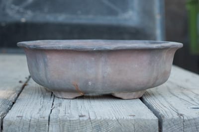 Scallop-shaped pot