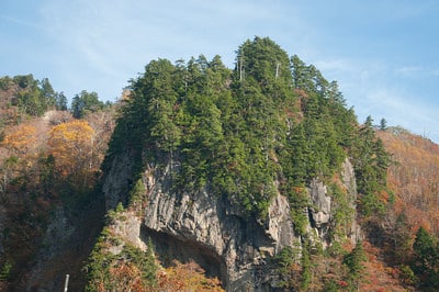 Pine on rock outcropping