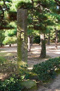 Tamamo Park