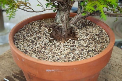 Wiring the tree into the pot