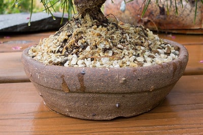 Hagedorn pot