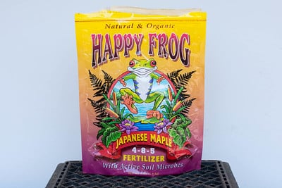 Happy Frog Japanese Maple
