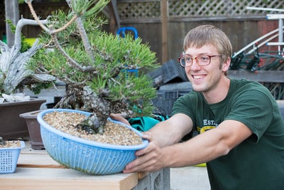 Matt Reel evaulating a young pine