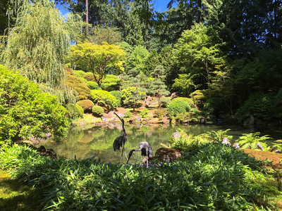 Strolling Pond Garden
