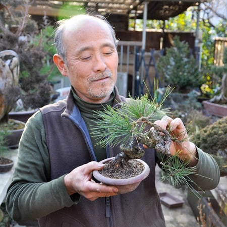 Kawabe with a 15 year old pine bonsai he’s grown from seed