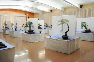 BABA Exhibit hall