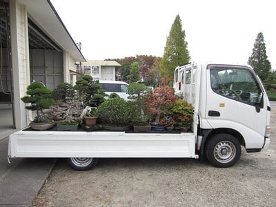 Bonsai delivery truck