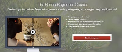 Bonsai Beginners' Course