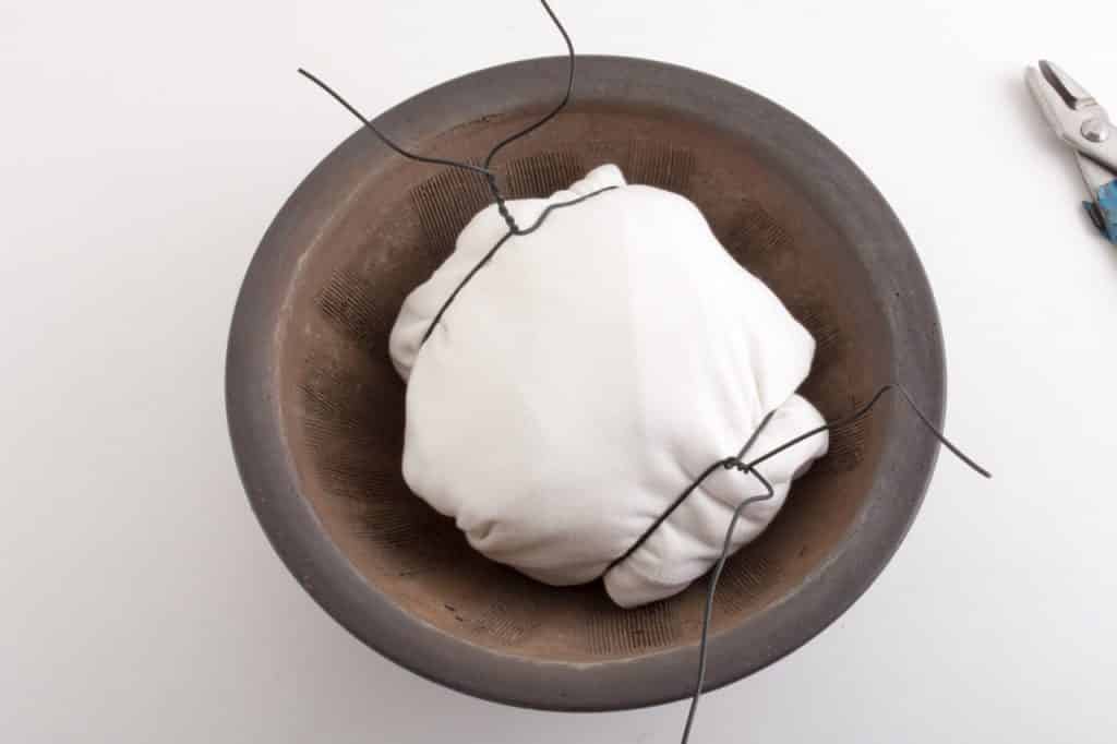 How to secure bonsai in the pot Bonsai Tonight