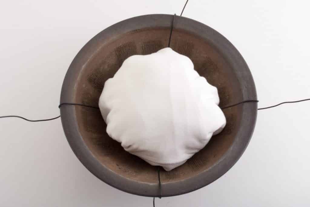 How to secure bonsai in the pot Bonsai Tonight