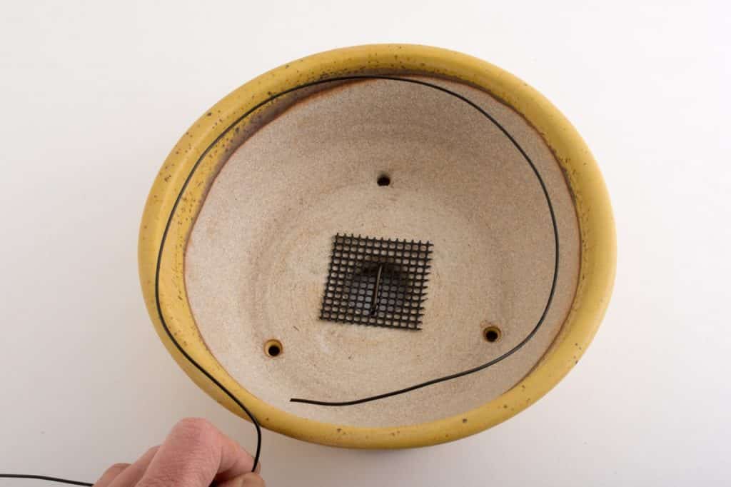 How to secure bonsai in the pot Bonsai Tonight