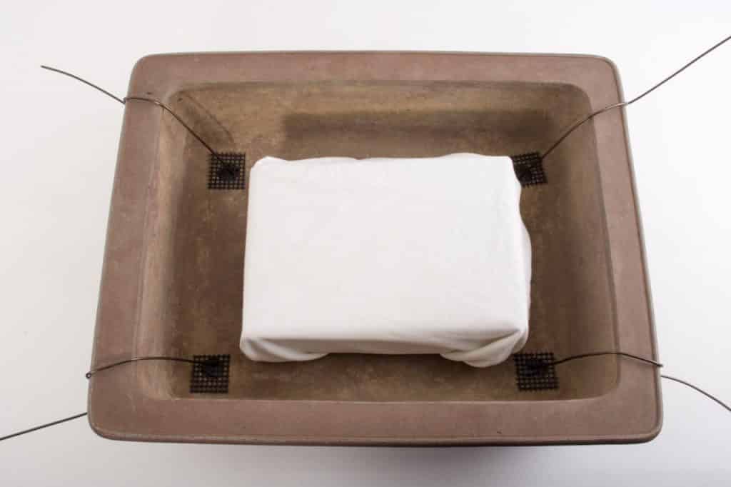 How to secure bonsai in the pot Bonsai Tonight