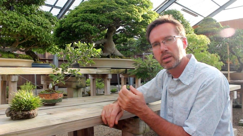 Review of Bonsai Fundamentals Course by Michael Hagedorn and Bonsai Empire Bonsai Tonight