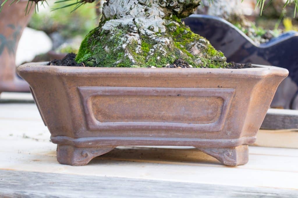 A visit to the Gyouzan kiln the creative containers of Yukizyou Nakano Bonsai Tonight