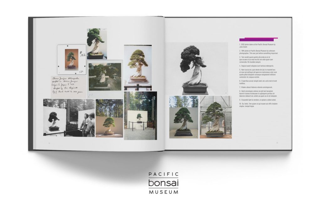 Pacific Bonsai Museum Book