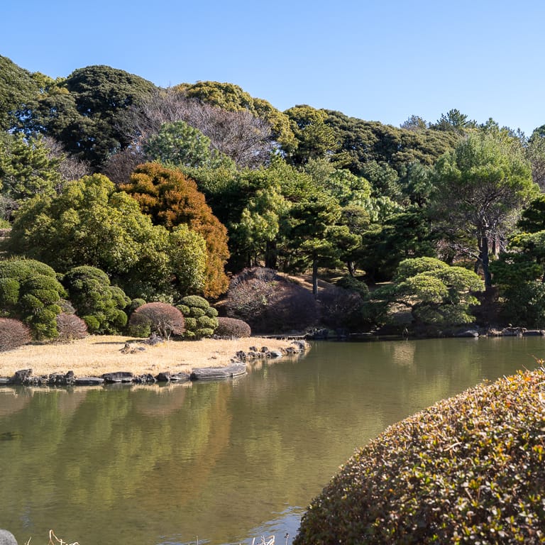 Garden pond at Koishikawa garden