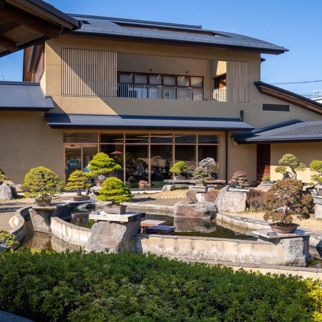 Highlights from the Omiya Bonsai Museum's garden Bonsai Tonight