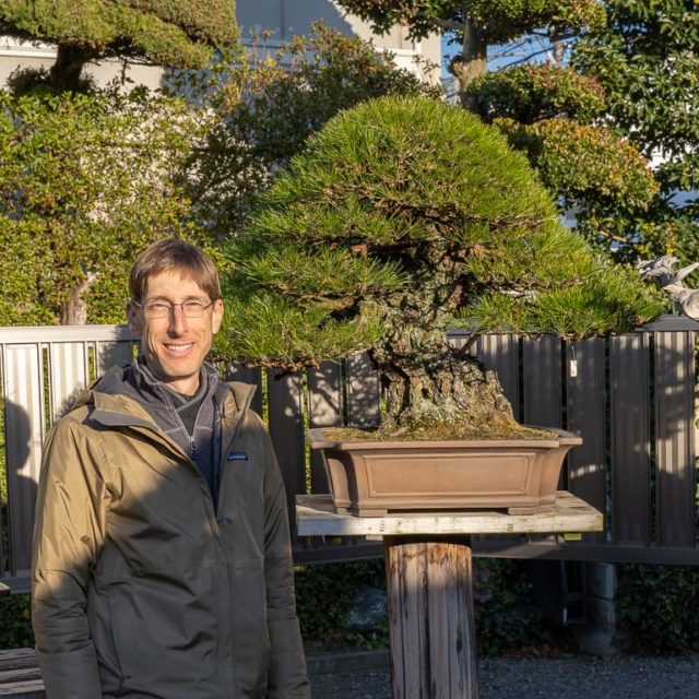 A visit to Kimura's bonsai garden Bonsai Tonight