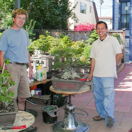 Guest post The story behind Michael Hagedorn's Bonsai Heresy Bonsai