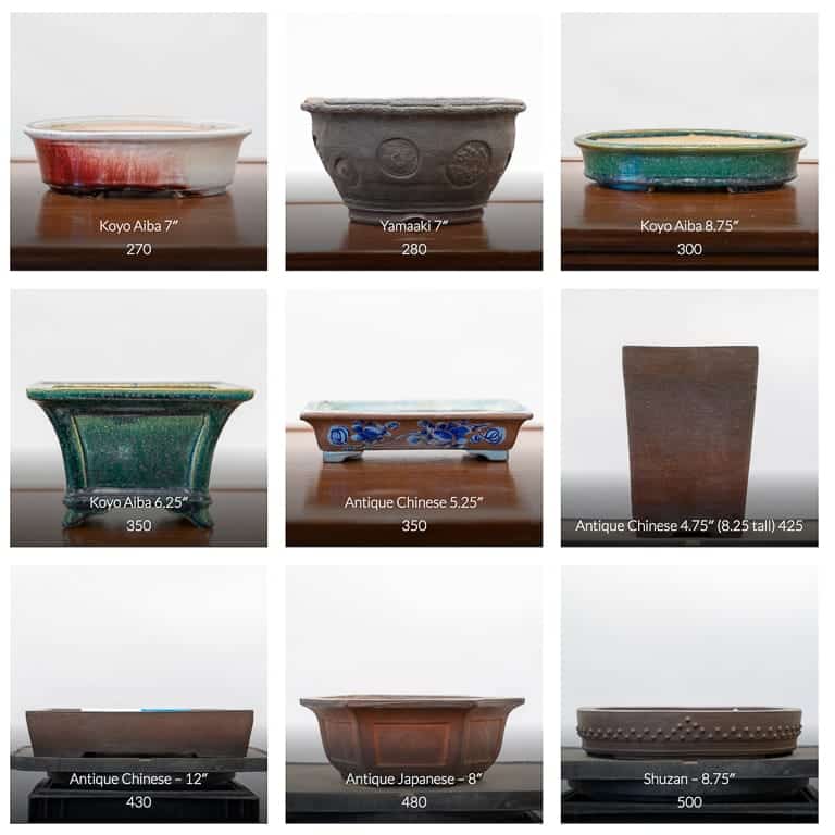 Bonsai pots for sale
