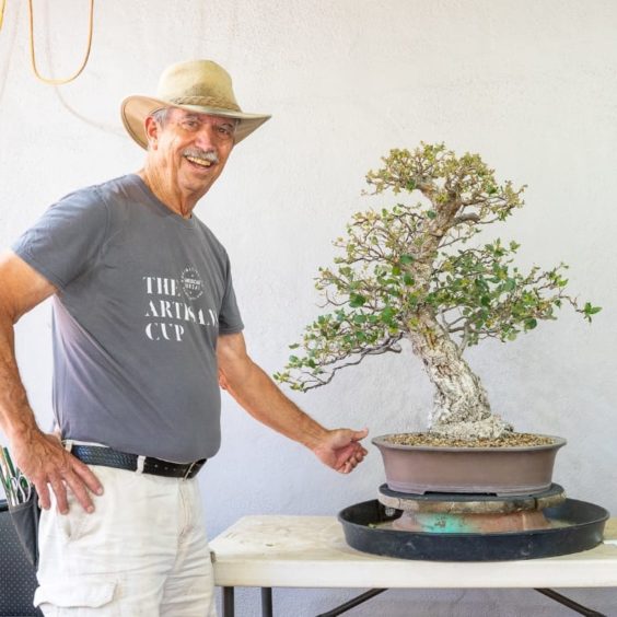 A visit to John Thompson's garden - Bonsai Tonight