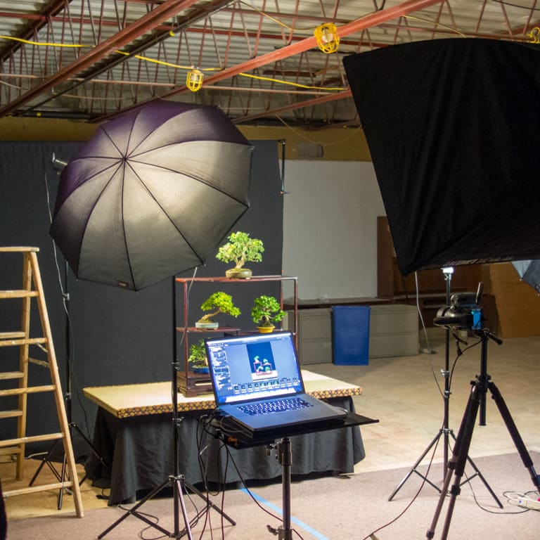 Photography setup at the 2014 U.S. National Bonsai Exhibition