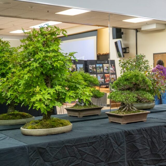 Highlights from the Bonsai Society of Portland's Farm to Table seminar
