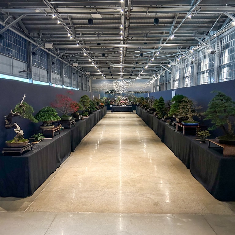 Pacific Bonsai Expo