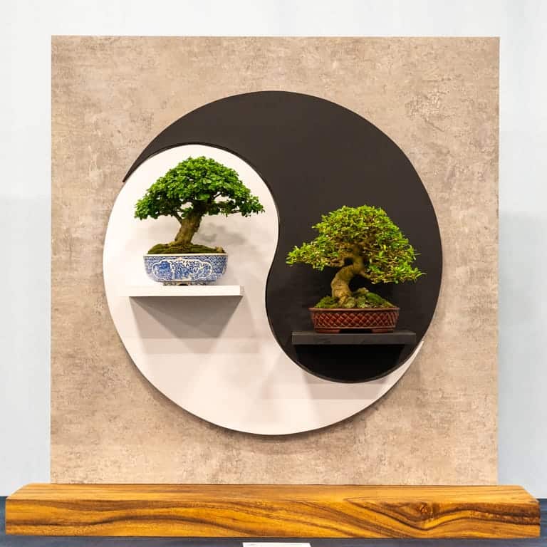 2-tree display by Pedro Morales