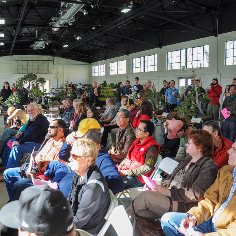 Bay Island Bonsai Auction