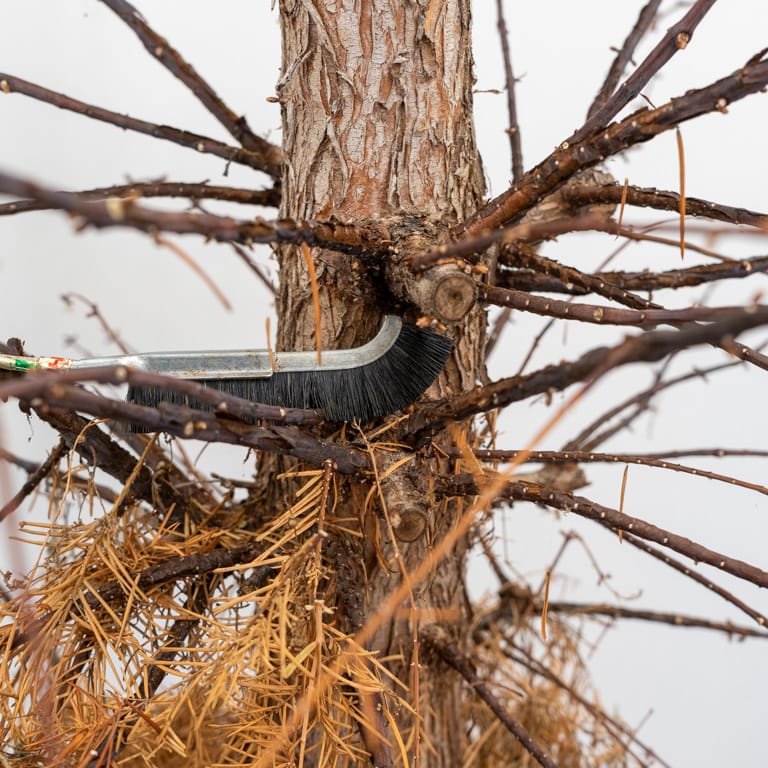 Removing leaflets between branches