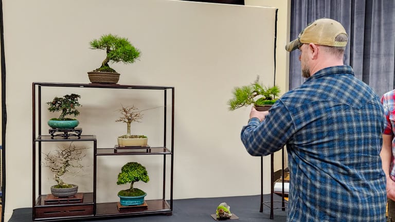 Student display practice